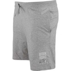 Męskie szorty Athl DPT Einar – 100% bawełna, asfaltowy szary. Fioletowe szorty sportowe męskie ZFOAM, bez wzorów, z bawełny, sportowe. Za 170.99 zł.
