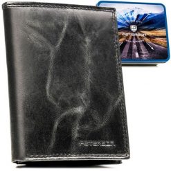 Pionowy, skórzany portfel męski w czarnym kolorze bez zapięcia zewnętrznego - Peterson. Czarne portfele męskie Peterson, bez wzorów, ze skóry. Za 79.99 zł.
