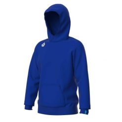 Bluza z kapturem Arena Team Panel. Niebieskie bluzy z kapturem męskie ARENA, xl, bez wzorów, z bawełny, z kapturem. Za 303.99 zł.