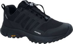 Buty trekkingowe męskie Alpinus Buty trekkingowe ALPINUS Hydrotex LAROUCO HDTX (GH11403) 46. Buty trekkingowe męskie Alpinus, bez wzorów, bez zapięcia. Za 344.40 zł.