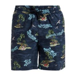 Szorty kąpielowe dla Mężczyzn EVERYDAY STRAIGHT VOLLEY 17" Czarny. Niebieskie kąpielówki męskie Quiksilver, bez wzorów, z materiału, sportowe. Za 199.99 zł.