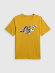 4F T-shirt regular z nadrukiem męski - żółty 3XL. Żółte t-shirty męskie 4f, m, bez wzorów, z dzianiny, bez kołnierzyka, bez ramiączek. Za 59.99 zł.