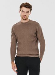 PAKO LORENTE – Męski sweter w kolorze brązowym. Brązowe swetry męskie Pako Lorente, bez wzorów, z bawełny, bez kołnierzyka, bez ramiączek. Za 169.99 zł.