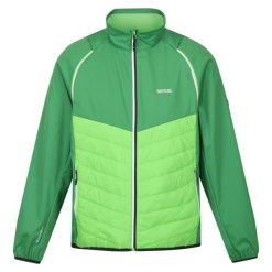 Kurtka Męska Steren Hybrid Soft Shell. Zielone kurtki softshell męskie Regatta, m, bez wzorów, z softshellu, bez kaptura, trekkingowe. Za 132.99 zł.