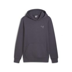 Męska bluza Better Essentials z kapturem PUMA Galactic Gray. Szare bluzy nierozpinane męskie Puma, m, bez wzorów, sportowe, bez ramiączek, z kapturem. Za 275.12 zł.