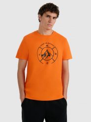 4F T-shirt regular z nadrukiem męski - pomarańczowy XXL. Brązowe t-shirty męskie 4f, m, bez wzorów, z materiału, bez kołnierzyka, bez ramiączek. Za 59.99 zł.
