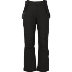Spodnie narciarskie Whistler Portivo W-Pro 8000. Czarne spodnie narciarskie i snowboardowe męskie Whistler, bez wzorów, narciarskie. W wyprzedaży za 339.50 zł.
