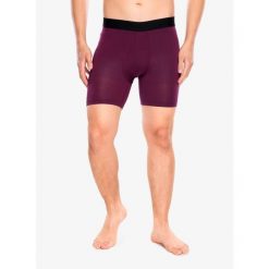 Bokserki termoaktywne męskie Stance Fig Wholester. Fioletowe bielizna termoaktywna męska Stance, m, bez wzorów, bez ramiączek. Za 146.99 zł.