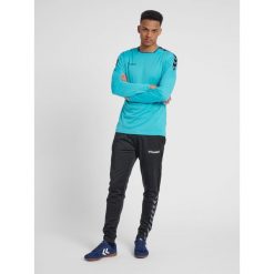 Hummel koszulka męska z długim rękawem hml Authentic Poly Jersey. Fioletowe koszulki męskie z długim rękawem HUMMEL, m, bez wzorów, z jersey, sportowe, bez kołnierzyka, bez ramiączek. Za 91.00 zł.