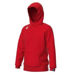 Bluza z kapturem Arena Team Panel. Czerwone bluzy z kapturem męskie ARENA, xl, bez wzorów, z bawełny, z kapturem. Za 336.00 zł.