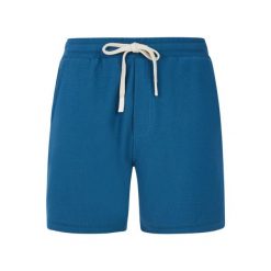 Protest PRTGraig shorts - Raku Blue. Niebieskie szorty sportowe męskie Protest, bez wzorów, sportowe. Za 223.00 zł.