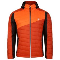 Kurtka Turystyczna Męska Z Podpinką. Brązowe kurtki męskie Dare 2B, m, bez wzorów, z puchu, sportowe, bez ramiączek, bez kaptura. Za 141.99 zł.