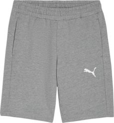 Puma Spodenki męskie Puma teamGOAL Casuals szare 658608 33 S. Szare szorty sportowe męskie Puma, bez wzorów, sportowe. Za 107.98 zł.