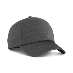 Czapka z daszkiem Essentials Elevated PUMA. Szare czapki męskie Puma, bez wzorów, sportowe. Za 99.00 zł.