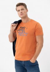 T-shirt z printem T-DIS. Brązowe t-shirty męskie Volcano, l, bez wzorów, z bawełny, bez kołnierzyka, bez ramiączek. Za 59.99 zł.