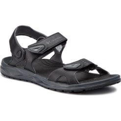 Sandały COLUMBIA - Wayfinder 2 Strap BM1032 Black/Graphite 010. Sandały męskie Columbia. Za 249.99 zł.