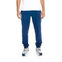 Męskie spodnie polarowe Leone Lifestyle. Niebieskie buty sportowe na co dzień męskie LEONE 1947 APPAREL, l, bez wzorów, z polaru, sportowe, bez ramiączek, bez kaptura, na fitness i siłownię. W wyprzedaży za 154.80 zł.