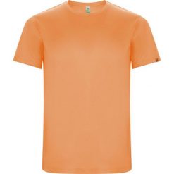 Męska Koszulka Sportowa Imola Z Krótkim Rękawem. Brązowe t-shirty sportowe męskie ROLY, m, bez wzorów, sportowe, bez ramiączek. Za 33.99 zł.