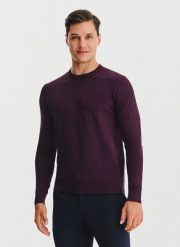 PAKO LORENTE – Fioletowy sweter męski. Fioletowe swetry męskie Pako Lorente, bez wzorów, z nylonu, bez kołnierzyka, bez ramiączek. Za 119.99 zł.