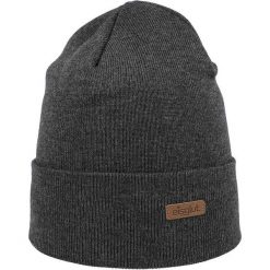 Czapka zimowa męska Eisglut Toni Cotton szara. Szare czapki męskie 100%, na zimę, bez wzorów, sportowe. Za 167.50 zł.