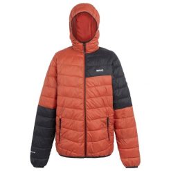Męska Kurtka Hillpack III Hooded Active Padded Jacket. Czarne kurtki męskie Regatta, m, bez wzorów, z puchu, sportowe, bez ramiączek, bez kaptura. Za 100.99 zł.