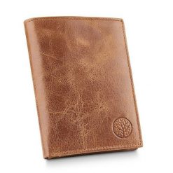 Portfel męski BETLEWSKI BPM-BB-70 Brązowy. Brązowe portfele męskie Betlewski, bez wzorów, ze skóry. Za 119.99 zł.