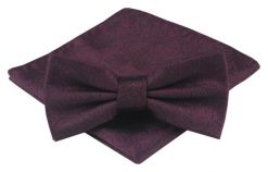 Mucha Męska z Poszetką - Alties - Kolor Wina (Burgund). Czerwone krawaty i muchy męskie Alties, bez wzorów, eleganckie. Za 54.00 zł.