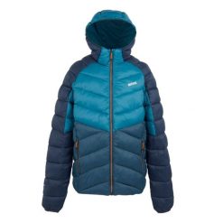Męska Kurtka Ocieplana Z Kapturem Dalent. Niebieskie kurtki męskie Regatta, m, bez wzorów, z puchu, sportowe, bez ramiączek, z kapturem. Za 306.99 zł.