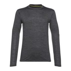 Longsleeve męski Smartwool Classic All-Season Merino Baselayer Boxed. Szare bielizna termoaktywna męska Smartwool, m, bez wzorów, z wełny, bez ramiączek, trekkingowe. Za 384.31 zł.