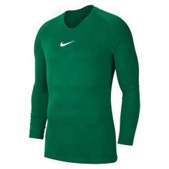 Bluza Męska Park DriFIT Base Layer Top. Zielone bluzy nierozpinane męskie Nike, m, bez wzorów, sportowe, bez ramiączek, bez kaptura. Za 131.99 zł.