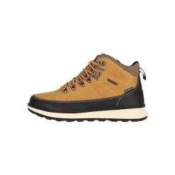 Buty trekkingowe Whistler Clayton. Żółte buty zimowe męskie Whistler, bez wzorów, sportowe, bez obcasa, bez zapięcia. Za 287.50 zł.