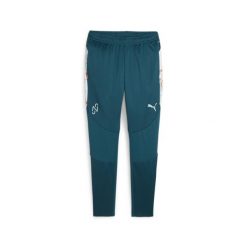 Piłkarskie spodnie treningowe PUMA x NEYMAR JR Creativity PUMA. Brązowe długie spodnie sportowe męskie Puma, bez wzorów, na fitness i siłownię. Za 229.99 zł.