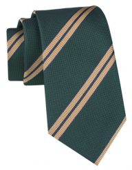 Klubowy, Klasyczny, Męski Krawat - ALTIES - Zielony. Zielone krawaty i muchy męskie Alties, bez wzorów, z tkaniny, eleganckie. Za 49.00 zł.