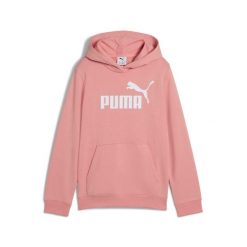 Młodzieżowa bluza z kapturem ESS z logo No. 1 PUMA Pink Fruit. Czerwona bluzy nierozpinane męskie Puma, m, bez wzorów, młodzieżowe, bez ramiączek, z kapturem. Za 190.00 zł.