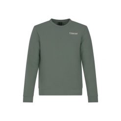 Bluza Protest Vito. Zielone bluzy nierozpinane męskie Protest, m, bez wzorów, bez ramiączek, bez kaptura. Za 274.50 zł.