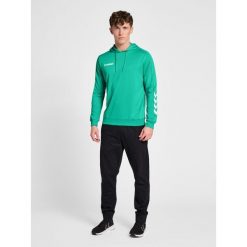 Bluza do piłki ręcznej męska Hummel hml PROMO Poly z kapturem. Zielone bluzy nierozpinane męskie HUMMEL, m, bez wzorów, sportowe, bez ramiączek, z kapturem. W wyprzedaży za 143.00 zł.