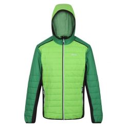 Męska Kurtka Trutton II Baffled Padded Jacket. Zielone kurtki męskie Regatta, m, bez wzorów, z puchu, sportowe, bez ramiączek, bez kaptura. Za 142.99 zł.