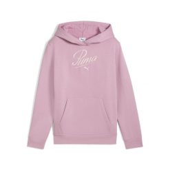 Młodzieżowa bluza z kapturem Essentials Script PUMA. Czerwona bluzy z kapturem męskie Puma, m, bez wzorów, z kapturem. Za 199.00 zł.