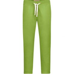 James & Nicholson Męskie Spodnie Dresowe Vintage, Fluo Zielony, S. Niebieskie spodnie dresowe męskie VAN NICHOLAS, bez wzorów, z bawełny. Za 181.99 zł.