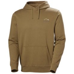 Bluza z kapturem Helly Hansen Massif Graphic. Brązowe bluzy z kapturem męskie Helly Hansen, m, bez wzorów, z kapturem. W wyprzedaży za 320.10 zł.