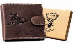 Portfel Always Wild N992L-CHM-DOG-1 c. brązowy. Brązowe portfele męskie Always Wild, bez wzorów, z nubiku. Za 59.99 zł.
