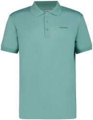 Icepeak vyriški polo marškinėliai BELLMONT, antikvariniai žali. Koszulki polo męskie 4f, m, bez wzorów, bez kołnierzyka, bez ramiączek. Za 120.59 zł.