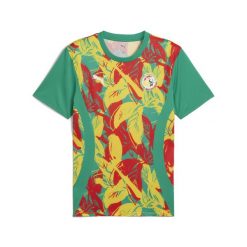 Męska koszulka przedmeczowa Senegal 2025 PUMA Sport Green Faster Yellow Red. Czerwone t-shirty sportowe męskie Puma, m, bez wzorów, sportowe, bez ramiączek. Za 269.00 zł.