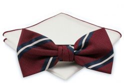 Mucha z poszetką - Chattier, Męska - Klasyczny Wzór. Krawaty i muchy męskie Chattier, bez wzorów, eleganckie. Za 59.00 zł.