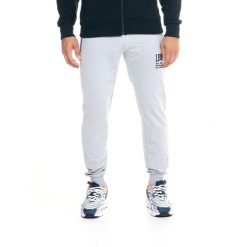 Męskie spodnie dresowe Leone Active. Szare spodnie dresowe męskie LEONE 1947 APPAREL, bez wzorów, z dresówki. W wyprzedaży za 139.75 zł.