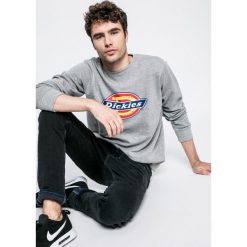 Dickies - Bluza. Bluzy nierozpinane męskie Dickies. W wyprzedaży za 149.90 zł.