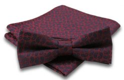 Mucha w Delikatny Wzór Paisley + Poszetka, Męska. Krawaty i muchy męskie Alties, bez wzorów, eleganckie. Za 54.00 zł.
