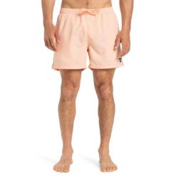 Szorty kąpielowe dla Mężczyzn EVERYDAY BEACH 15". Brązowe kąpielówki męskie Quiksilver, bez wzorów, z materiału, sportowe. Za 159.99 zł.