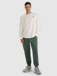 4F Spodnie dresowe joggery męskie - oliwkowe/khaki L. Brązowe długie spodnie sportowe męskie 4f, bez wzorów, z dresówki. Za 169.99 zł.