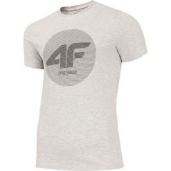 T-shirt męski TSM248 - chłodny jasny szary melanż. T-shirty męskie marki 4f. Za 49.99 zł.